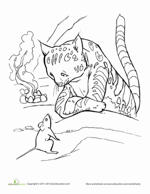 猫鼠着色页