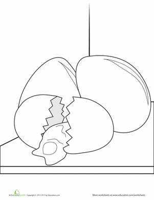 鸡蛋着色页