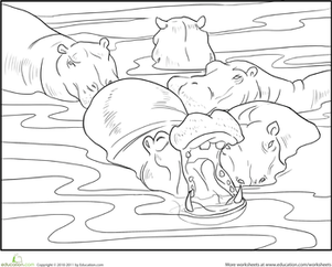 给ColortheHippopotamusPod着色