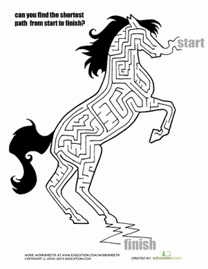 马迷宫