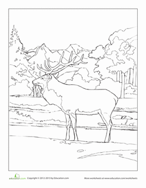 麋鹿着色页