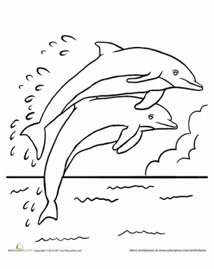 跃进海豚彩页