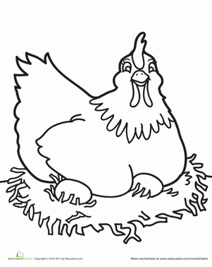 小鸡着色颜色