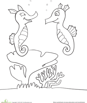 海马着色