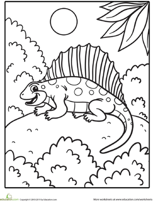 Dimetrodon彩页