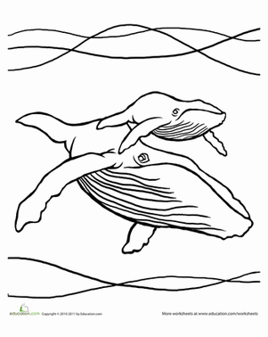 驼峰航线