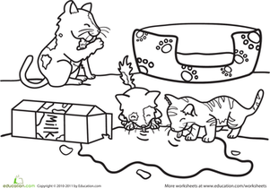 彩色小猫和它们的叫声
