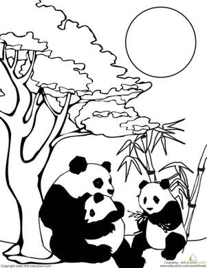 给熊猫家族上色