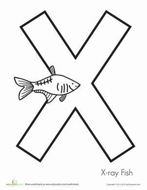 x射线鱼