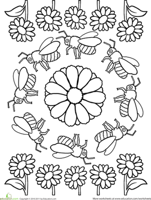曼陀罗的颜色：蜜蜂
