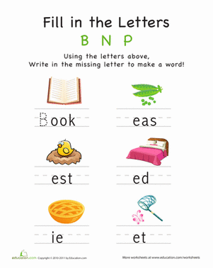 填写字母：B N P
