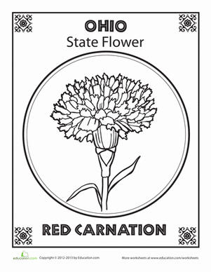 俄亥俄州花