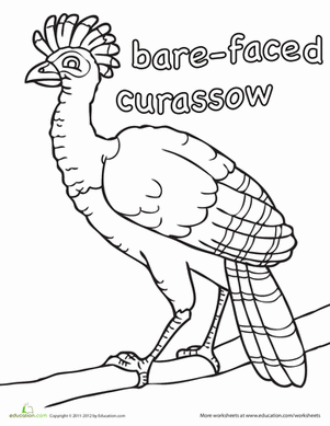 裸脸FacedCurrasowColoringPage页面