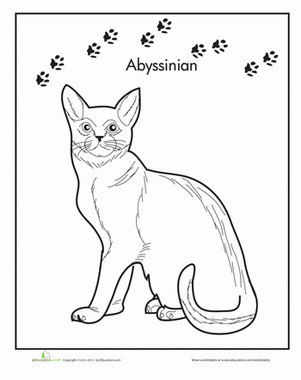 红阿比猫着色页