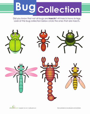 Bug集合