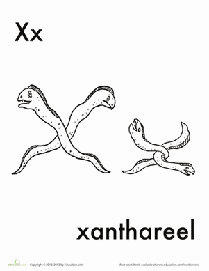 X代表Xanthareel
