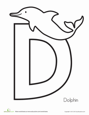 D代表海豚