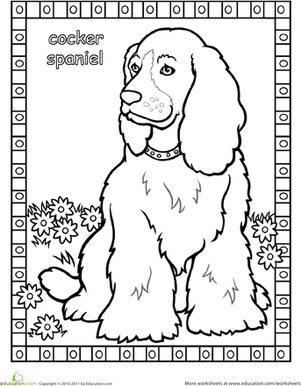 可卡犬着色页