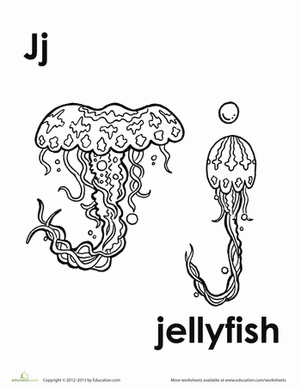 J代表水母