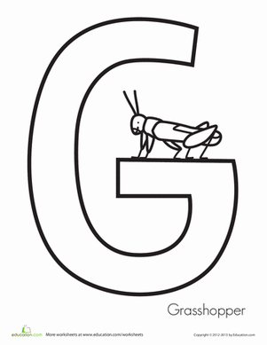 G代表蚱蜢