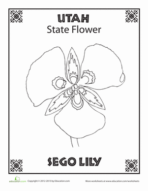 犹他州立花卉