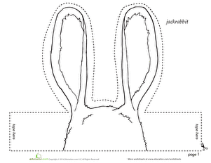 jack rabbit数据库