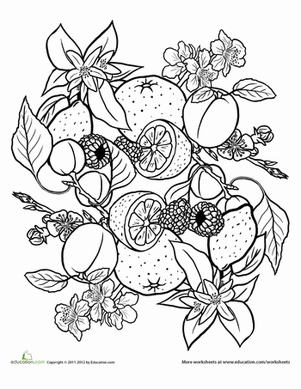水果蔬菜曼陀罗#2