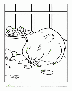 仓鼠颜色页面