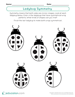 lady bug对称性