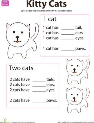 数动物猫