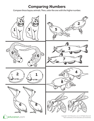更多河口动物：比较数字