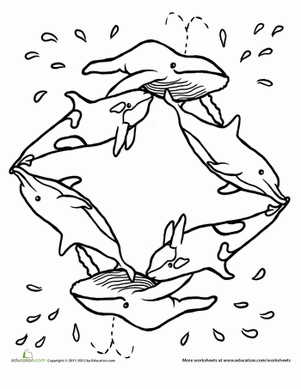 鲸鱼观察者曼陀罗