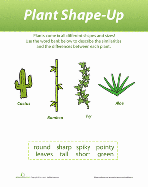 植物形状