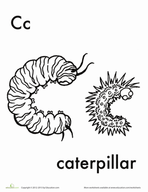 C代表卡特彼勒