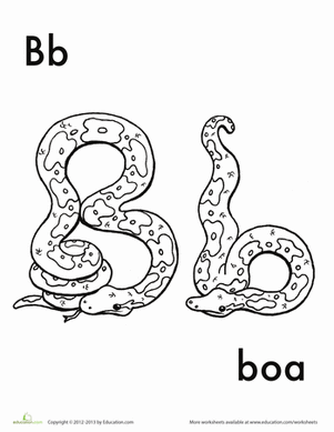 B代表Boa