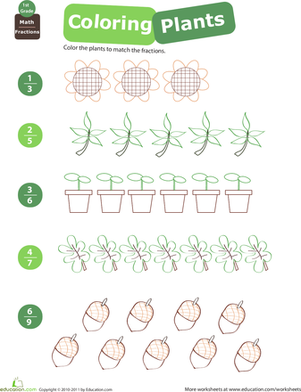 着色实践植物