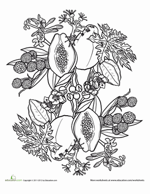 水果和蔬菜曼陀罗#7