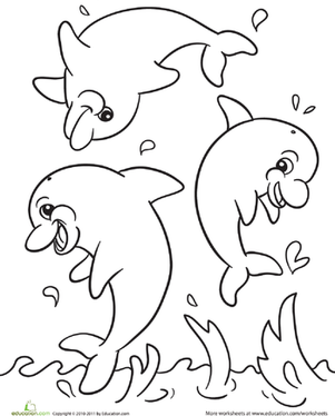 海豚色页码