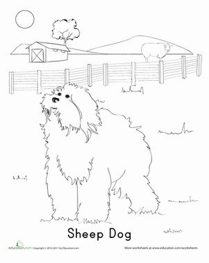 给快乐的牧羊犬上色