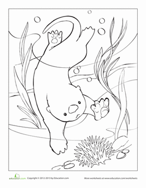 海獭着色页
