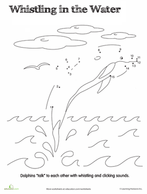 连接远程跟踪海豚