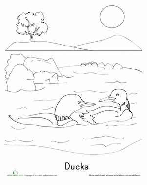鸭子着色页