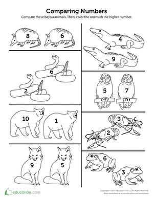 比较数字小动物