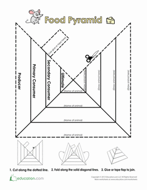 营养级金字塔