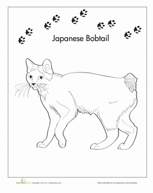 日本短尾着色页