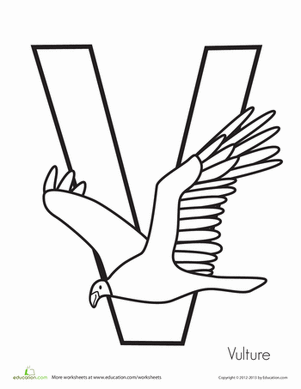 V代表秃鹫