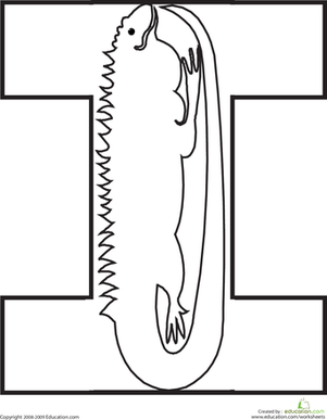 字母颜色页