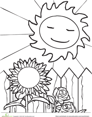 太阳和向日葵