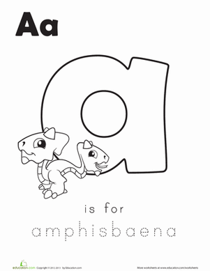 A代表双鱼
