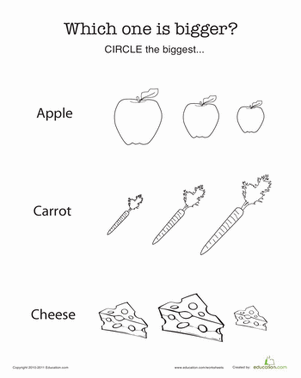 哪个食物更好